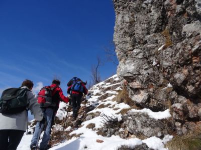 Kliknite za ogled večje slike