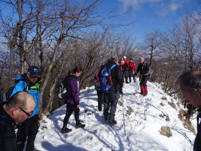 Kliknite za ogled večje slike