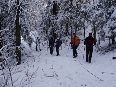 Kliknite za ogled večje slike