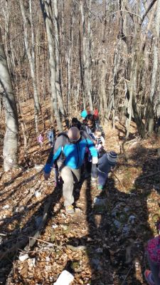 Kliknite za ogled večje slike