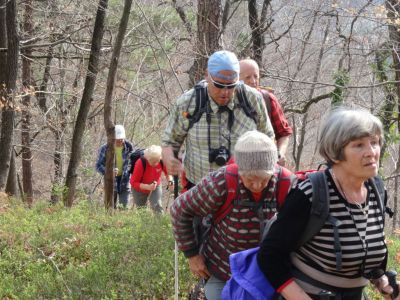 Kliknite za ogled večje slike