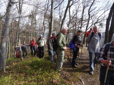 Kliknite za ogled večje slike