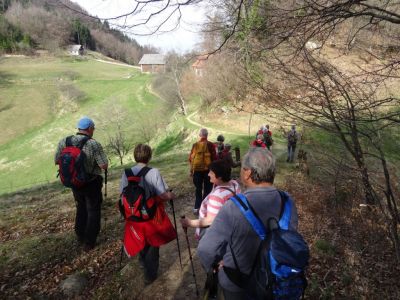 Kliknite za ogled večje slike