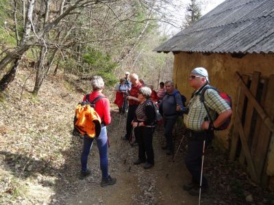 Kliknite za ogled večje slike
