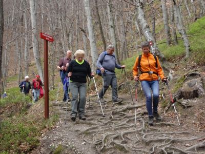 Kliknite za ogled večje slike