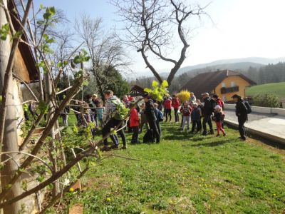 Kliknite za ogled večje slike