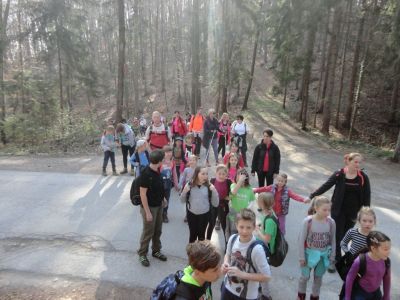 Kliknite za ogled večje slike