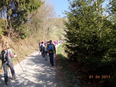 Kliknite za ogled večje slike