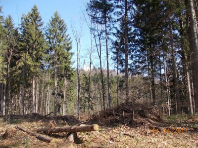 Kliknite za ogled večje slike