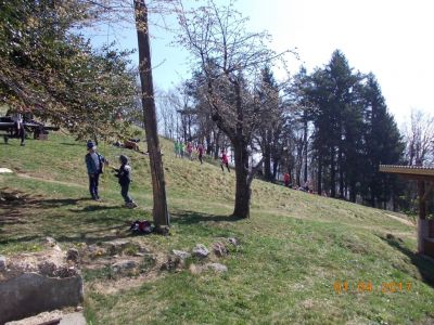 Kliknite za ogled večje slike