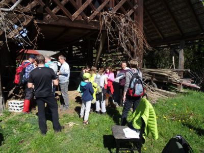 Kliknite za ogled večje slike