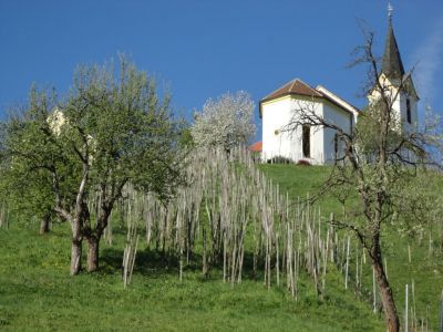 Kliknite za ogled večje slike