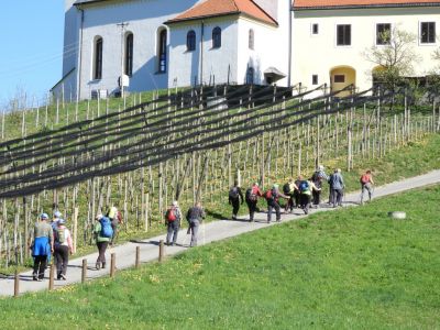 Kliknite za ogled večje slike