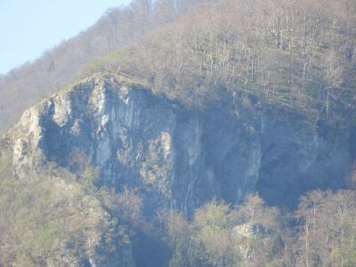 Kliknite za ogled večje slike