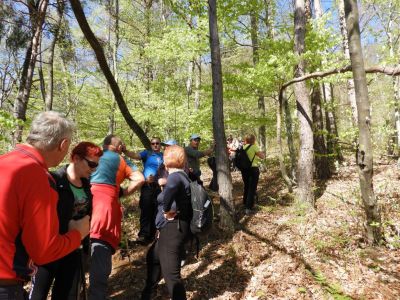Kliknite za ogled večje slike