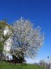 DSCN0671.JPG