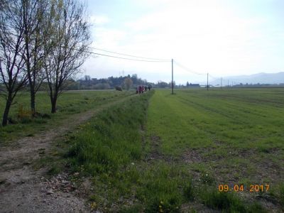 Kliknite za ogled večje slike