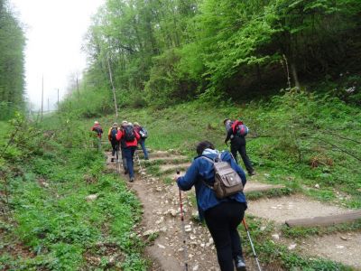 Kliknite za ogled večje slike