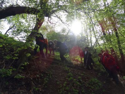 Kliknite za ogled večje slike