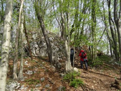 Kliknite za ogled večje slike