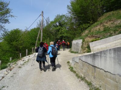 Kliknite za ogled večje slike