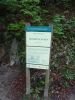 DSC05745.JPG