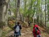 DSC05753.JPG