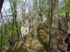 DSC05754.JPG