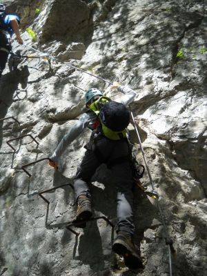 Kliknite za ogled večje slike