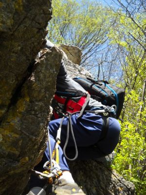 Kliknite za ogled večje slike