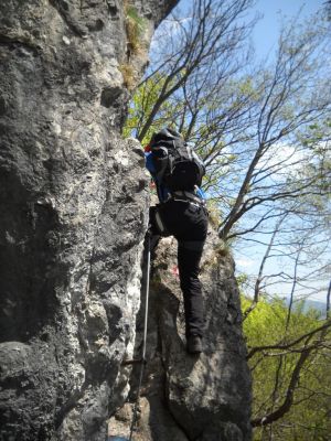 Kliknite za ogled večje slike