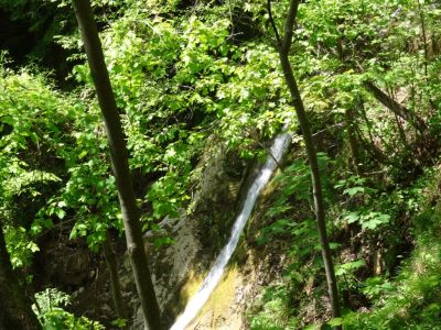 Kliknite za ogled večje slike