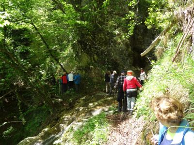 Kliknite za ogled večje slike