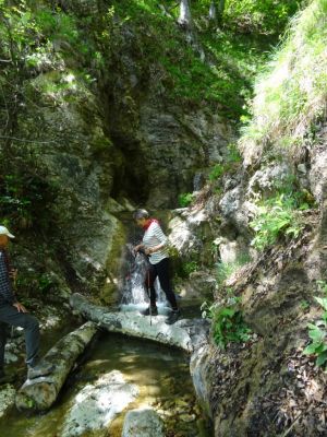 Kliknite za ogled večje slike