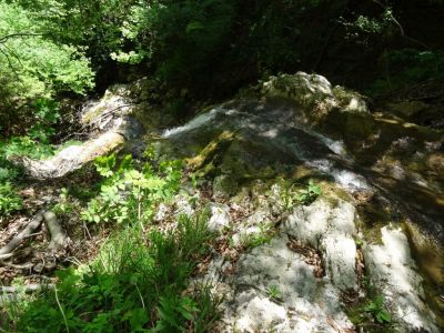 Kliknite za ogled večje slike