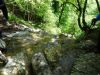 DSC05961.JPG