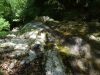 DSC05962.JPG