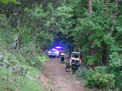 Kliknite za ogled večje slike
