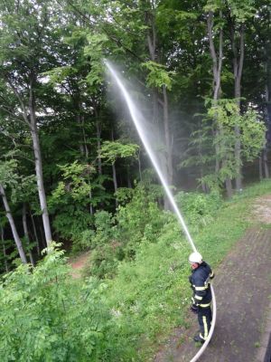 Kliknite za ogled večje slike