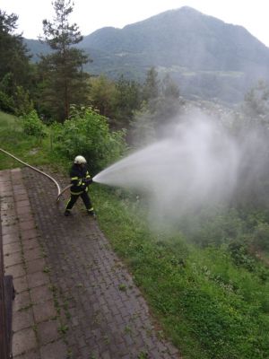 Kliknite za ogled večje slike