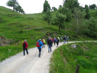 Kliknite za ogled večje slike