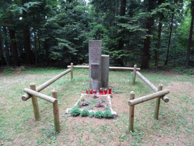 Kliknite za ogled večje slike