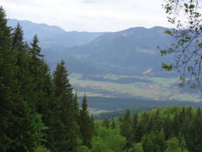 Kliknite za ogled večje slike