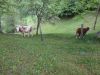 DSC04835.JPG