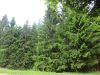 DSC04838.JPG