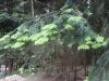 DSC04840.JPG