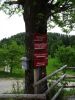 DSC06206.JPG