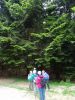 DSC06224.JPG