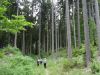 DSC06227.JPG
