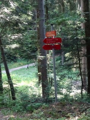 Kliknite za ogled večje slike